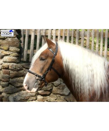 Buy Tysons Breeches Cavesson Leather - Extra Large Coldblood X-Full XX Full with Bit Attachment | Premium Quality Horse Tack - Buy Online on GoSupps.com