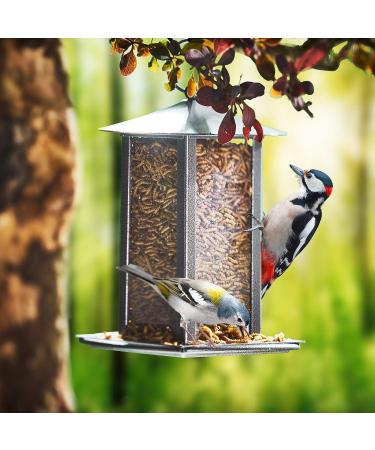 Buy Paul's Mill Dried Mealworms - Premium Quality 2 x 5kg (10kg Total) for Pets & Wildlife - International Shipping Available - Buy Online on GoSupps.com