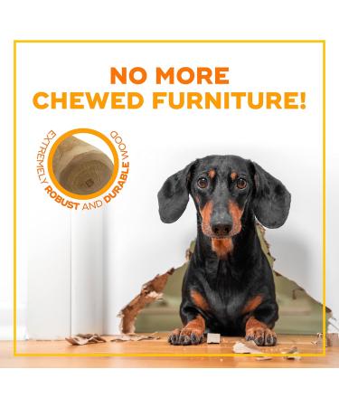 Natural Dog Treats - Coffee Wood Chewing Bone for Dogs & Puppies | Caustab Chewing Wood - Exciting Kit for Dogs | 1 Pack - Buy Online on GoSupps.com