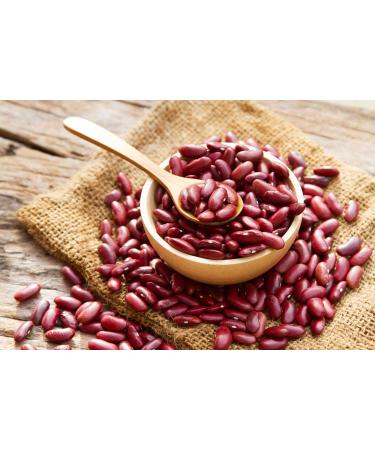 Bodrum Red Kidney Beans | 400G | Ready To Eat | Dried | Vegan | GMO Free | Dark Red | High Fibre | High Protein - Buy Online on GoSupps.com