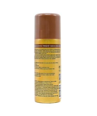 EBIN NEW YORK Tinted Lace Aerosol Spray - Cool Deep Brown 2.7oz/80ml | Quick Dry, Water Resistant, No Residue | Natural Look with Even Spray - 2.7 Fl Oz - Buy Online on GoSupps.com