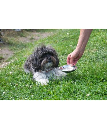 Wet Dog Food - 300g - High Meat Content - Premium Quality - 36 x 300g - Buy Online on GoSupps.com