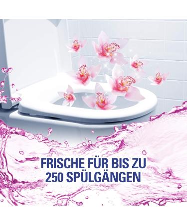Cillit Bang 6in1 Toilet Budder - Wild Orchid Toilet Water Purple - 3 Pack for Fresh & Clean Toilet with Every Flush - Buy Online on GoSupps.com