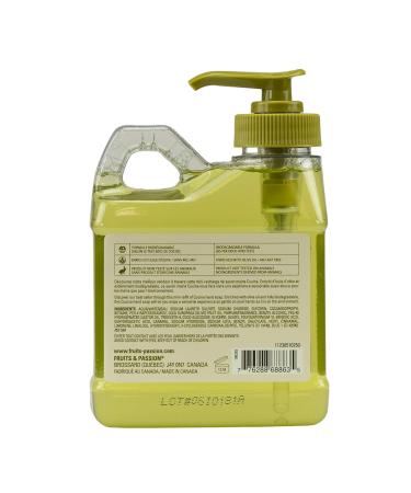 Fruits and Passion Cucina Coriander and Olive Tree 8.4 oz Mini Size Purifying Hand Wash Hand Soap Refill Coriander 8.4 Ounce (Pack of 1) - Buy Online on GoSupps.com
