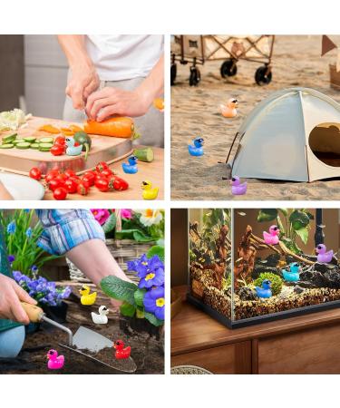 120Pcs Resin Mini Ducks Tiny Ducks Mini Resin Animals to Hide with Sunglasses Miniature Ducks for Dollhouse Crafts Garden Landscape Ornament Aquarium DIY Accessories Potted Decorations (10 Colors) Regular - Buy Online on GoSupps.com
