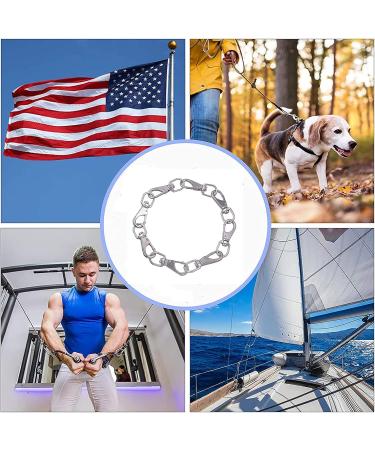 Mixiflor Stainless Steel Swivel Snap Hooks  8 Pack (3.5 Inch) Heavy Duty Swivel Eye Snap Hook  Diving Clips Spring Hooks for Bird Feeders  Pet Chains  Dog Tie-Out Cable  Keychains and More - Buy Online on GoSupps.com