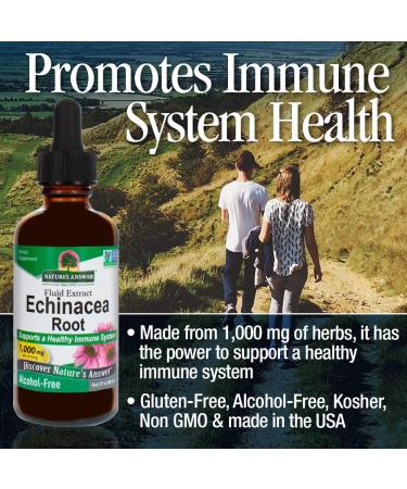 Echinacea Extract | Immune Support | Vegan, Gluten-Free, Non-GMO | 2oz - Nature's Answer - Buy Online on GoSupps.com