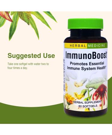 Herbs Etc. Immunoboost - Herbal Supplement for Immune System Support - Immune Health Support with Echinacea Angustifolia Astragalus & Calendula - Gluten-Free - 60 Softgels (60 Servings) - Buy Online on GoSupps.com