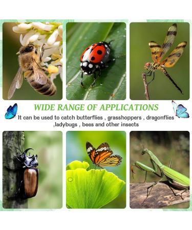 WUISOLQP Insect Butterfly Habitat Cage - Portable Collapsible Bug Catcher Net for Kids - Science Education Starter Kit (Green) - Buy Online on GoSupps.com