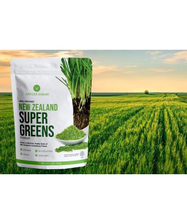 Antler Farms - 100% Pure Organic New Zealand Super Greens Powder  40 Servings  200g - Wheat Grass  Barley Grass  Chlorella  Spirulina - Vegan  Gluten Free  Chlorophyll Rich  for Energy and Detox - Buy Online on GoSupps.com