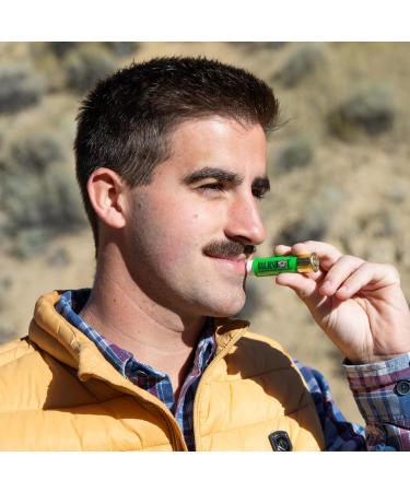 BALMSHOT Lip Balm 4 Pack (Minty Combo Variety Pack) - Buy Online on GoSupps.com