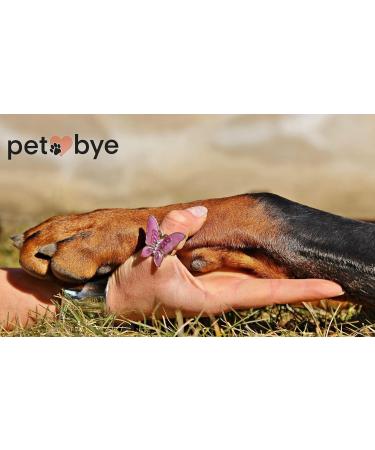 petbye XL Cardboard Animal Coffin Natural - 60 x 36 x 21 cm Pet Coffin for Funeral and Earth Funeral Pet Solid Cardboard Animal Coffin Extra Stable Gr. XL - Buy Online on GoSupps.com