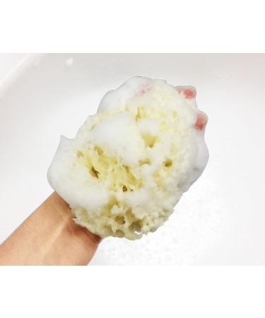 Natural Sea Sponge for Gentle Baby Bath | Hypoallergenic & Eco-Friendly - Buy Online on GoSupps.com