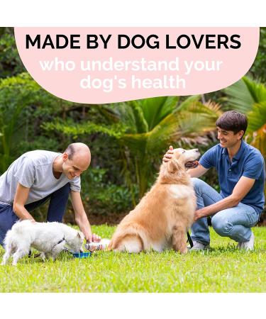 Natural Wolf Spring Dog Food Supplement for Adult Dogs | Skin, Coat & Joint Support | Digestive Health Multivitamin with Omega-3 | Plant Based Additive | 10oz (Pack of 24) - Buy Online on GoSupps.com