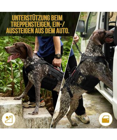 Oneigris Dog Harness & Invictus Support Dishes for Medium/Large Dogs - Adjustable & Safe with 3 Handles - Buy Online on GoSupps.com