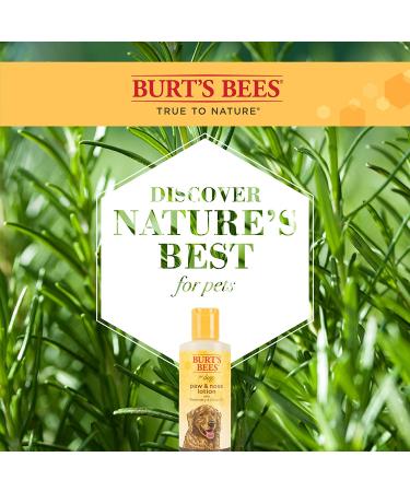 Burt's Bees Paw & Nose Lotion for Dogs - Rosemary & Olive Oil - 4 fl oz - Buy Online on GoSupps.com