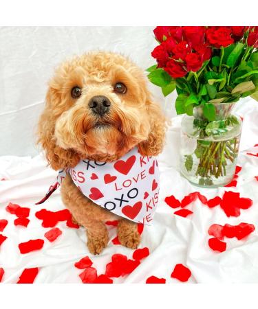 Maustlie Double-Sided Dog Bandana - Valentine's Day & Wedding Party Attire | L Red Smoking Bandana for Dogs - Buy Online on GoSupps.com