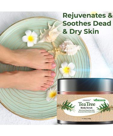 Chamuel Tea Tree Body & Foot Scrub - 100% Natural Exfoliating Scrub with Dead Sea Salt & Plant-based Stem Cells - Ginger & Essential Oils Blend for Rejuvenation & Soothing Dry Skin (15.1oz) - Buy Online on GoSupps.com