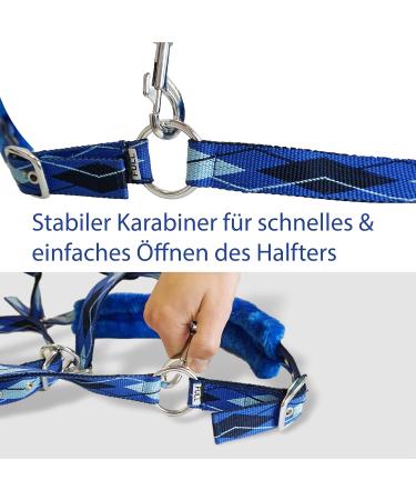 Shop Premium Blue Fur Lined Halters for Horses - Sizes: XFull Pony Cob Warmblood | International Shipping Available - Buy Online on GoSupps.com