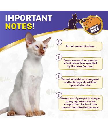 L Lysine for Cats Gentle Help with Watery Eyes & Cough Breathing Care with Taurine Vitamins & Chicken Flavor for Kittens & Senior Pets 2-Oz x 2 Pack - Buy Online on GoSupps.com