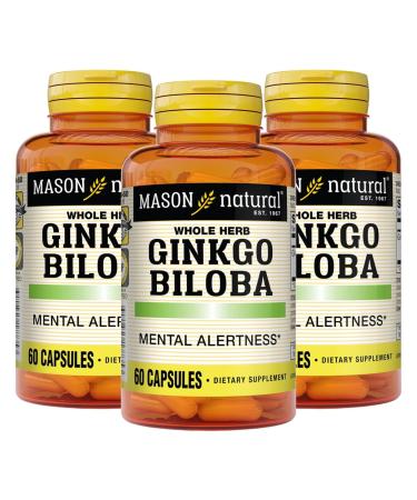 MASON NATURAL Ginkgo Biloba 3 Month Supply Helps to Improve Mental Alertness & Support Optimal Brain Function 60 Capsules (3 Pack) Unflavored 60 Count (Pack of 3)