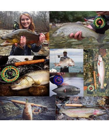 Maximumcatch Carbon Fiber Rod Transport Tube with Aluminum Cap - Ideal for 9ft/10ft 4-Piece Fly Rods | Durable & Lightweight - Buy Online on GoSupps.com