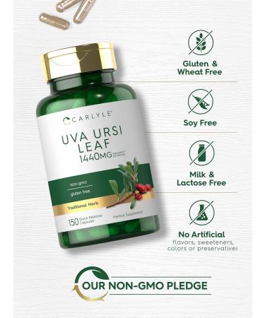 Carlyle Uva Ursi Capsules 1440mg - Herbal Leaf Extract Non-GMO Gluten Free - 150 Count for Optimal Health - Buy Online on GoSupps.com