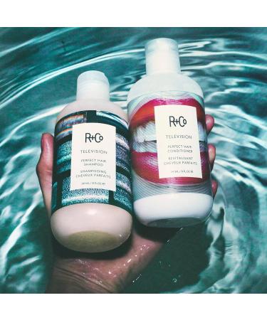 R+Co Television Perfect Hair Shampoo & Conditioner Set | 8.5 Oz + Cool Wind pH Travel Size | Vegan Cruelty-Free Body Shine & Smoothing for All Hair Types - International Shipping Available - Buy Online on GoSupps.com