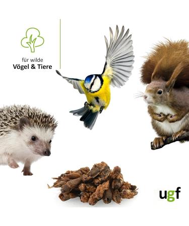 UGF Dried Grille 500ml Bucket - Ideal Grilling Insects & Year-Round Bird Turtle Hedgehog Lizard & Fish Feed | International Shipping Available - Buy Online on GoSupps.com