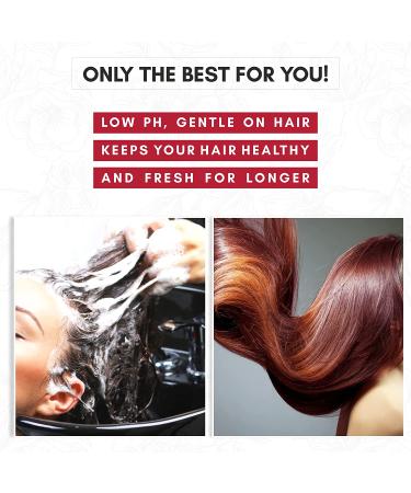Zotos Quantum Riveting Reds Color Replenishing Shampoo & Conditioner - 33.8oz Shampoo + 10.2oz Conditioner - Sulfate & Paraben Free - Enhances Color for Color-Treated Hair - Buy Online on GoSupps.com