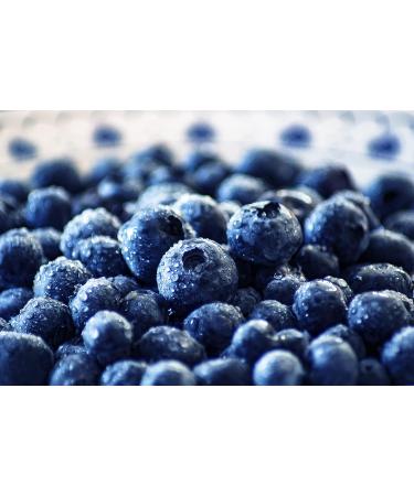 Darbo Naturrein Decorative Glass - Blueberry Jam - 6 x 640g - Buy Online on GoSupps.com