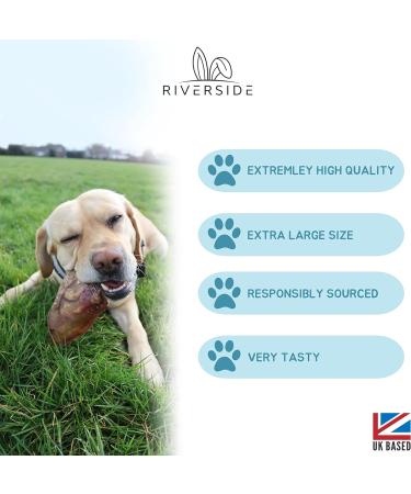 Extra Large Pig Ears For Dogs 100% Natural Long Lasting Gluten & Grain Free Healthy Dog Chew Hypoallergenic Treats - Resealable Bag - Buy Online on GoSupps.com