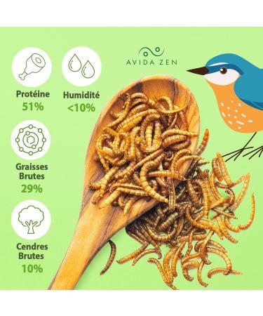 Dried Meal Worms - 1.2 kg 10 ml of Treats - Food for Fish Wild Birds Turtles Hedgehogs Rodents and Reptiles  - Buy Online on GoSupps.com