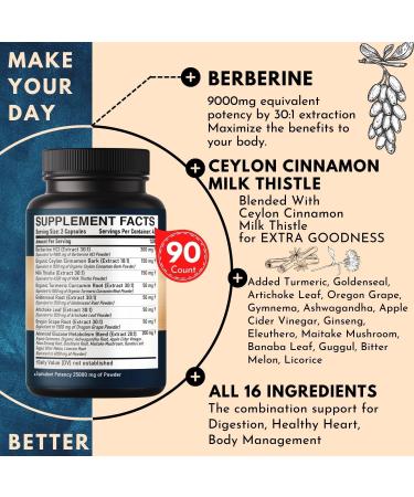 25000MG Berberine Supplement with Ceylon Cinnamon, Milk Thistle, Turmeric & More - 90 Capsules for Heart Health, Body Management & Immune Support - Buy Online on GoSupps.com