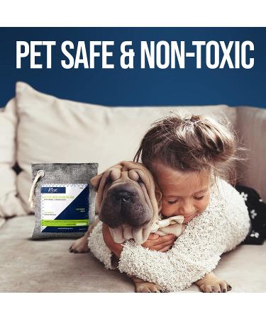 Nature Fresh Air Purifier Bags - Activated Charcoal Odor Absorbers for Home, Closet & Shoes - Buy Online on GoSupps.com