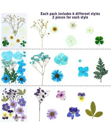 EBOOT 72 Pieces Real Dried Pressed Flowers Set for DIY Crafts & Floral Decor - Mixed Dry Flowers for Candle, Resin, Jewelry & Nail Art - Buy Online on GoSupps.com