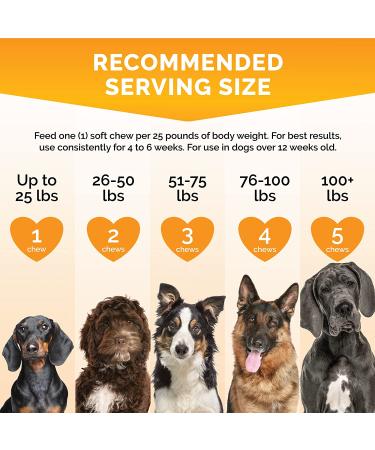 Premium Care Probiotics for Dogs - 120 Chews - Digestive Health Support for Dogs - Buy Online on GoSupps.com