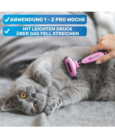 Bluepet Unterwollgl ck Brush for Short-Hair Dogs & Cats | Reduce Loose Hair Remove Undercoat & Care for Top Coat - Ideal for Shedding | Pink - Buy Online on GoSupps.com