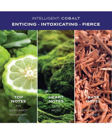 Intelligent Cobalt | Enticing Intoxicating Fierce | Extrait de Parfum for Men | 3.4 Fl Oz (100 mL) - Buy Online on GoSupps.com