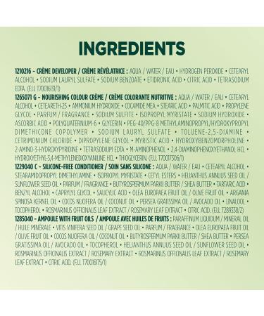 Garnier Nutrisse Ultra Cr me Permanent Hair Dye 100% Grey Coverage Vegan Formula Nourished Hair Long-Lasting Rich Colour 610 Light Ash Brown 1 Application Packaging May Vary BROWN SHADES 610 Light Ash Brown - Buy Online on GoSupps.com