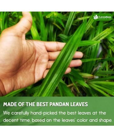 Lavendium Premium 100g (3.52oz) Pandan Leaves 100% Natural & Pure from Dried Pandan Leaves Pandan Leaf Tea No Additives No Caffeine Vegan. CA - Buy Online on GoSupps.com
