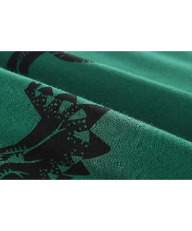 Boys Dinosaur Sweatshirt - Cotton Long Sleeve Pullover - Green - Sizes 1-8 Years - Buy Online on GoSupps.com