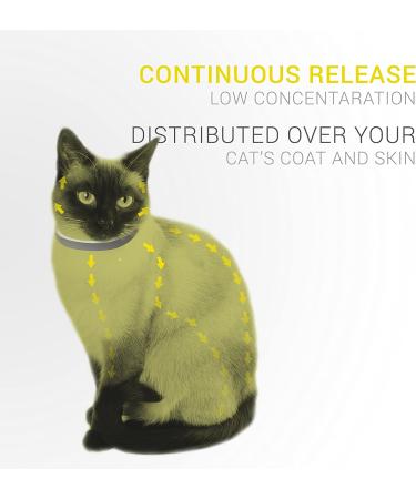 Sobaken Flea Collar for Cats - Natural Tick and Flea Prevention - One Size Fits All - 13 inch - 8 Month Protection | 1 Pack - Buy Online on GoSupps.com