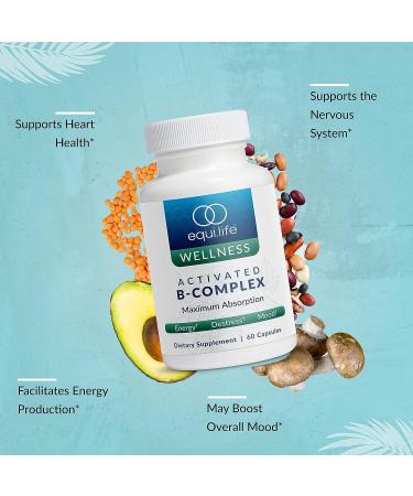 EquiLife Activated B-Complex: Mood & Energy Support Supplement | Non-GMO Vegan (60 Veggie Caps) - Buy Online on GoSupps.com