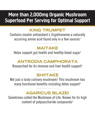 Om Mushrooms Mushroom Master Blend - 675 mg, 80 Vegetable Capsules | Immune Support & Wellness - Buy Online on GoSupps.com