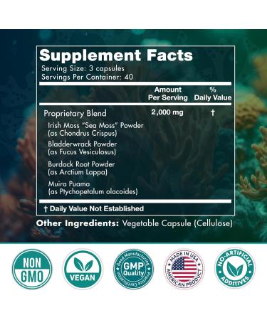 Buy Advanced Sea Moss Capsules - Irish Sea Moss with Burdock Root & Bladderwrack for Immunity Gut Health & Energy - 120 Superfood Pills - Buy Online on GoSupps.com