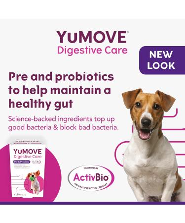 YuMOVE Digestive Care for Dogs | Probiotics for Sensitive Digestion | 120 Tablets - Buy Online on GoSupps.com