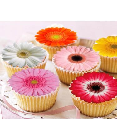 Pre-Cut Beautiful Gerbera Daisy A Edible Wafer Paper Flowers Cupcake Toppers Cake Decorations Birthday Party (12) - Buy Online on GoSupps.com