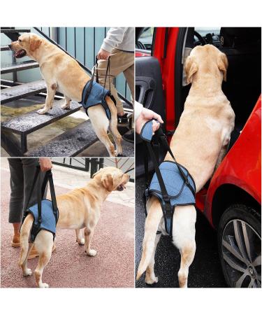 Dotoner Dog Lifting Harness - Soft Support for Injured Dogs | Hind Leg Support Loop for Small Medium & Large Breeds - Blue Size M (1 Pack) - Buy Online on GoSupps.com