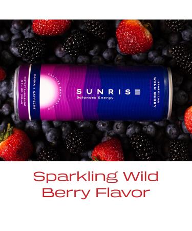 Kanna Extract Energy Drink | Kanna L-Theanine Ashwaganda Blend To Uplift Mood Calm & Focus | 100 mg Organic Caffeine | 28 Cal No Artificial Sweeteners 12 oz (Wild Berry- 4 Pack) - Buy Online on GoSupps.com